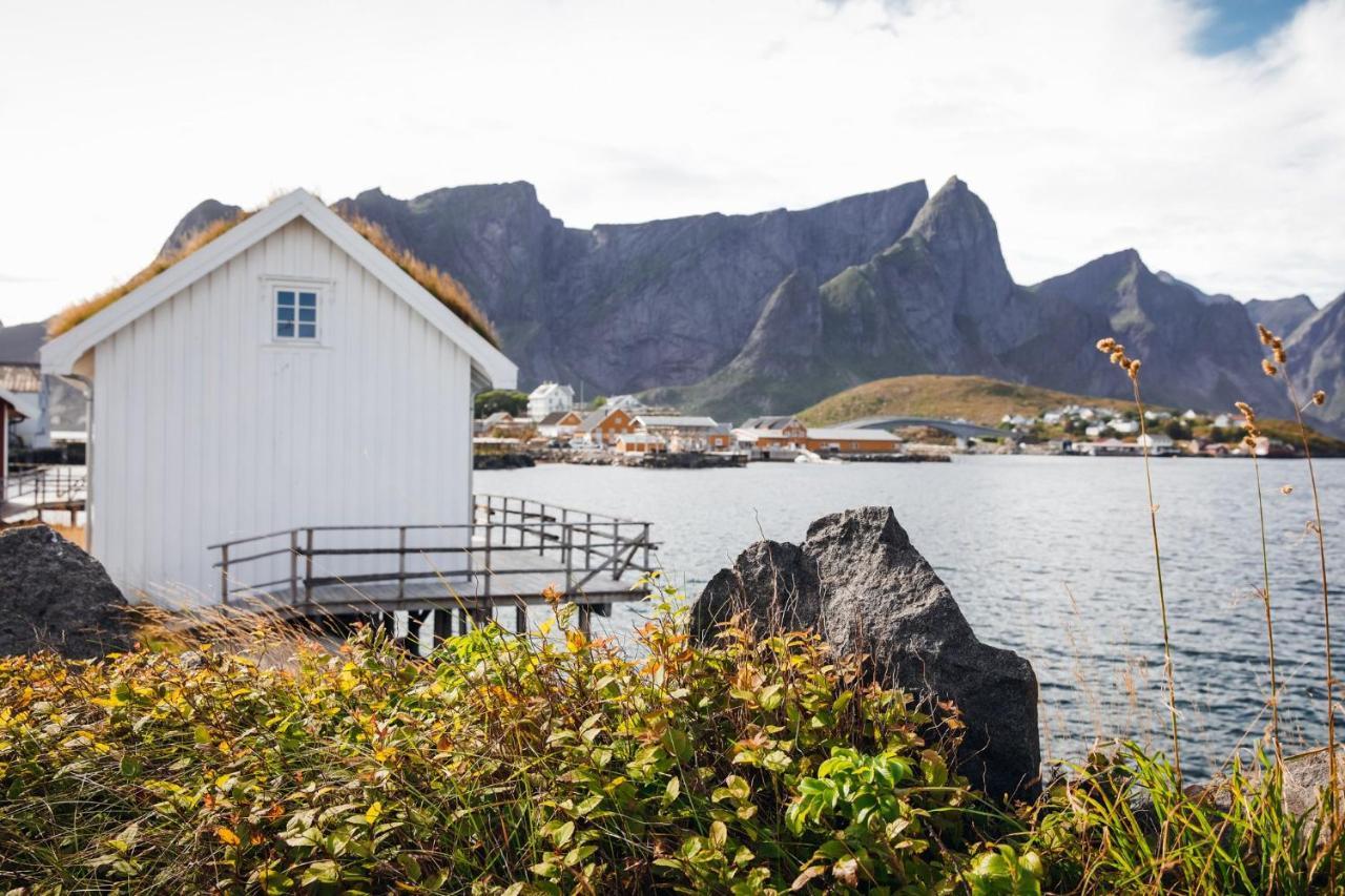 Toppoy Rorbuer Reine Exteriér fotografie
