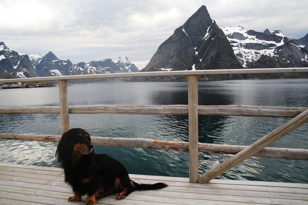 Hotel Toppoy Rorbuer Reine Exteriér fotografie